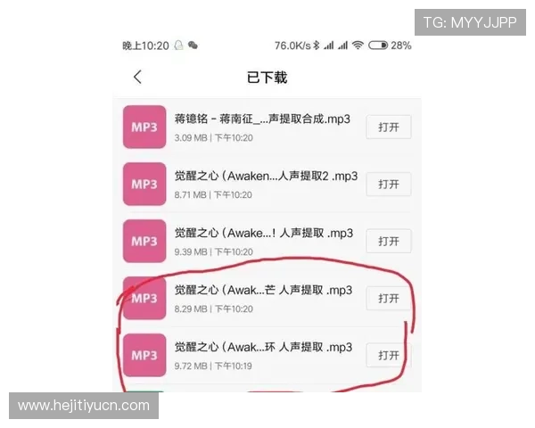 迈博真人会员登录官网操作指南，详细步骤帮助新手快速上手登录流程
